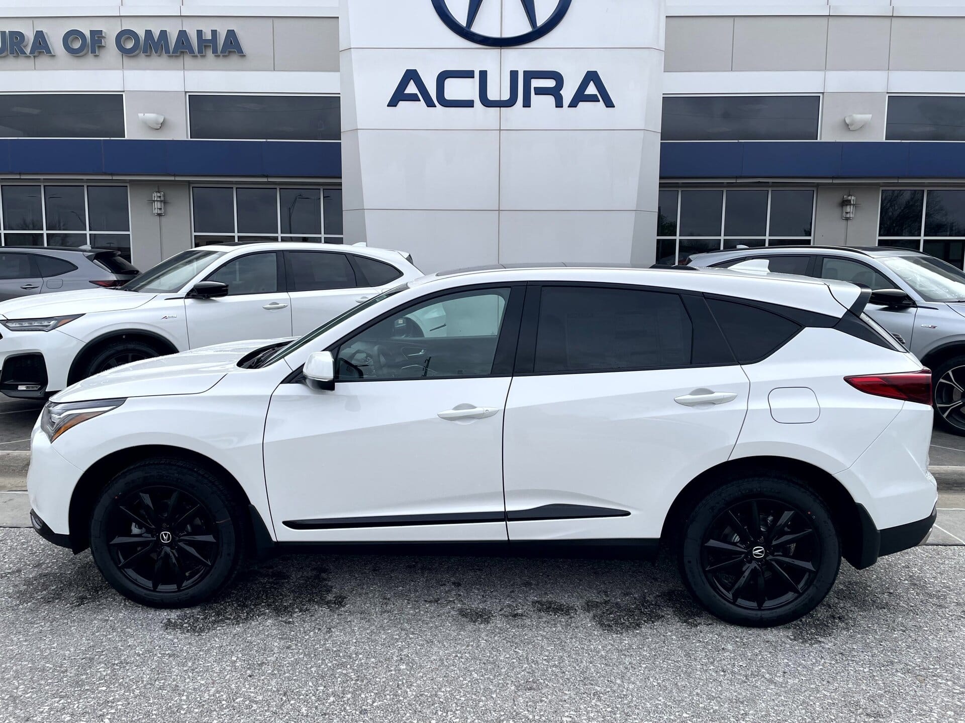 2026 Acura RDX SH-AWD's photo