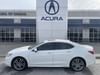 2019 Acura TLX w/Advance Pkg