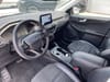12 thumbnail image of  2022 Ford Escape SEL