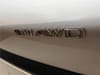 7 thumbnail image of  2026 Acura MDX w/A-Spec Package