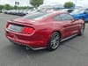 6 thumbnail image of  2017 Ford Mustang GT Premium