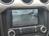 17 thumbnail image of  2017 Ford Mustang GT Premium