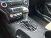 14 thumbnail image of  2017 Ford Mustang GT Premium