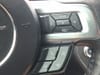 21 thumbnail image of  2017 Ford Mustang GT Premium