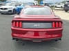 5 thumbnail image of  2017 Ford Mustang GT Premium