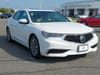 3 thumbnail image of  2019 Acura TLX 2.4L Technology Pkg