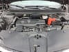 30 thumbnail image of  2023 Acura RDX Base