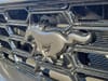 28 thumbnail image of  2025 Ford Mustang Dark Horse