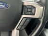 30 thumbnail image of  2019 Ford F-150 Platinum