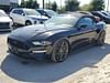 3 thumbnail image of  2019 Ford Mustang GT Premium