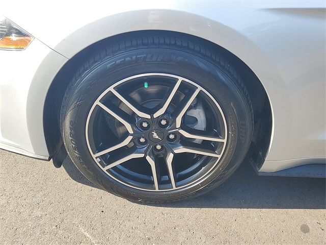 Used 2019 Ford Mustang EcoBoost Premium with VIN 1FATP8UH0K5131352 for sale in Brandon, FL