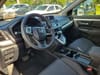 18 thumbnail image of  2019 Honda CR-V LX
