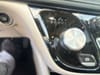 29 thumbnail image of  2021 Chrysler Pacifica Limited