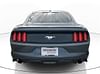 6 thumbnail image of  2016 Ford Mustang EcoBoost Premium