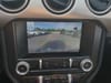 21 thumbnail image of  2020 Ford Mustang GT Premium