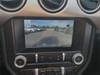 21 thumbnail image of  2020 Ford Mustang GT Premium