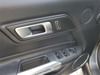 12 thumbnail image of  2020 Ford Mustang GT Premium