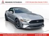 1 thumbnail image of  2020 Ford Mustang EcoBoost Premium