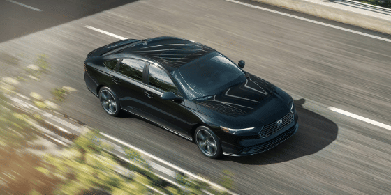 Honda Accord 2026 en Crystal Black Pearl conduciendo por un paso elevado.