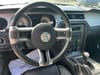 12 thumbnail image of  2012 Ford Mustang V6 Premium