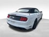 13 thumbnail image of  2018 Ford Mustang EcoBoost Premium