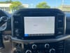 15 thumbnail image of  2024 Ford F-150 XLT