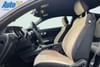 25 thumbnail image of  2019 Ford Mustang GT