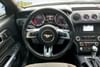 14 thumbnail image of  2019 Ford Mustang GT