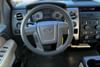 13 thumbnail image of  2010 Ford F-150 XLT