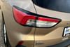 21 thumbnail image of  2021 Ford Escape SE