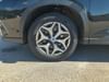 31 thumbnail image of  2023 Subaru Forester Premium