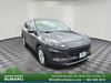 1 thumbnail image of  2020 Ford Escape SE