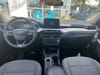 18 thumbnail image of  2020 Ford Escape SE