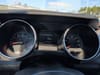 19 thumbnail image of  2020 Ford Mustang GT