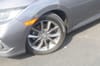 13 thumbnail image of  2020 Honda Civic EX