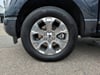29 thumbnail image of  2021 Ford F-150 Platinum