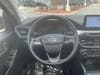 17 thumbnail image of  2022 Ford Escape SE