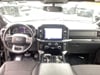 19 thumbnail image of  2023 Ford F-150 XLT