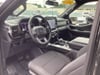15 thumbnail image of  2023 Ford F-150 XLT