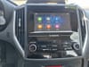 19 thumbnail image of  2023 Subaru Forester Base