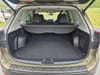 30 thumbnail image of  2023 Subaru Forester Limited