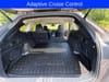 18 thumbnail image of  2023 Subaru Outback Limited XT