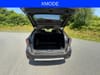 17 thumbnail image of  2023 Subaru Outback Limited XT