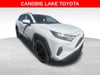 1 thumbnail image of  2023 Toyota RAV4 XLE