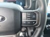 18 thumbnail image of  2024 Ford F-150 XLT