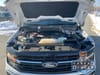 20 thumbnail image of  2024 Ford F-150 XLT
