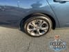 7 thumbnail image of  2024 Honda Accord EX