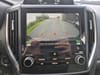 22 thumbnail image of  2024 Subaru Forester Limited