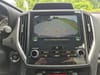 24 thumbnail image of  2024 Subaru Forester Limited