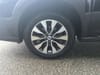 35 thumbnail image of  2024 Subaru Outback Limited
